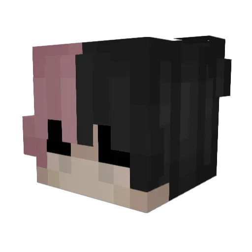 Fintsch37 Minecraft avatar head, 3D render