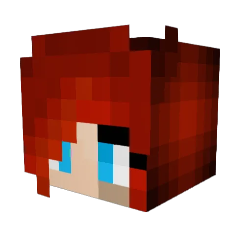 Finuly11 Minecraft avatar head, 3D render