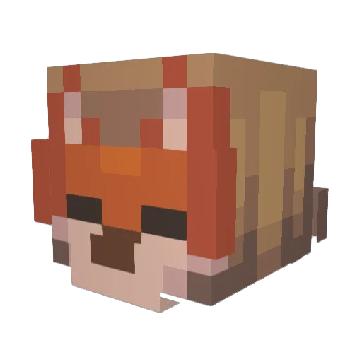 Finx_CZ Minecraft avatar head, 3D render