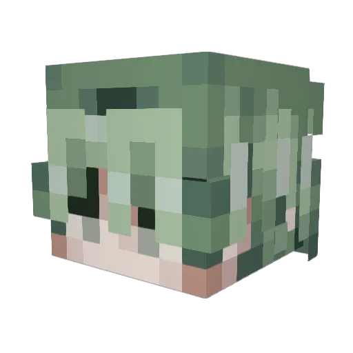 Finxz_ Minecraft avatar head, 3D render