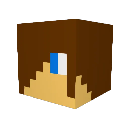 Finz1234 Minecraft avatar head, 3D render