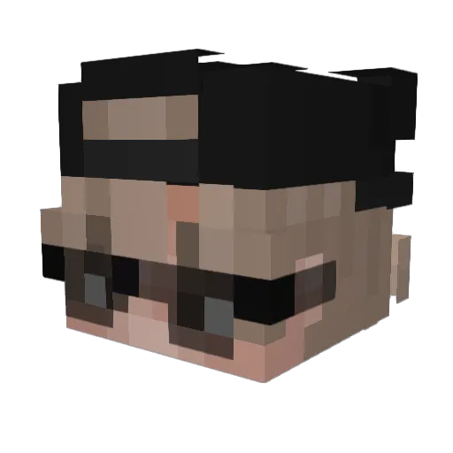 Finzch Minecraft avatar head, 3D render