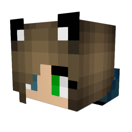 FioFantasy Minecraft avatar head, 3D render