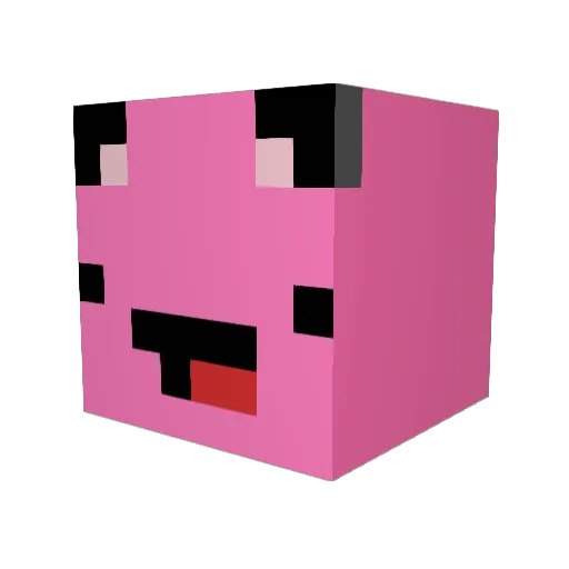 FioTheCat98 Minecraft avatar head, 3D render