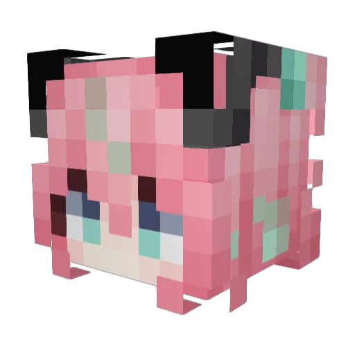 Minecraft-Avatar von Fiochel: Kopf als 3D-Render