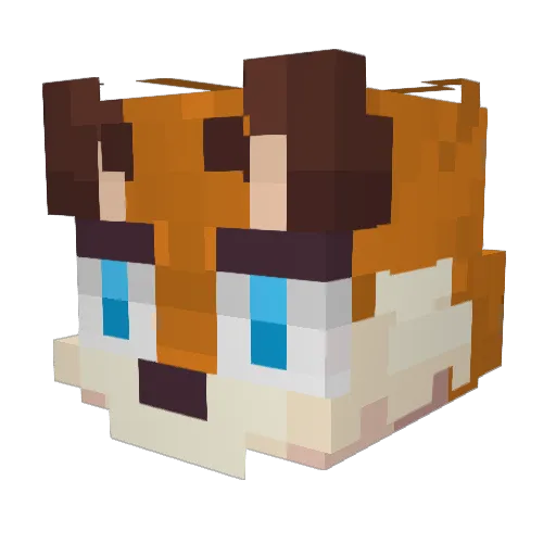 Fiolix Minecraft avatar head, 3D render