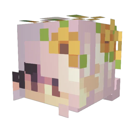 FionaWesten Minecraft avatar head, 3D render