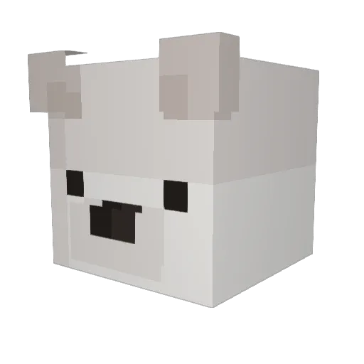 Fionaah Minecraft avatar head, 3D render