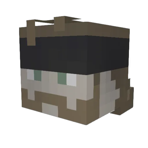 Fiora2010 Minecraft avatar head, 3D render