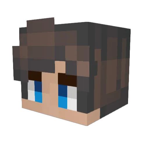Fiorabattles Minecraft avatar head, 3D render