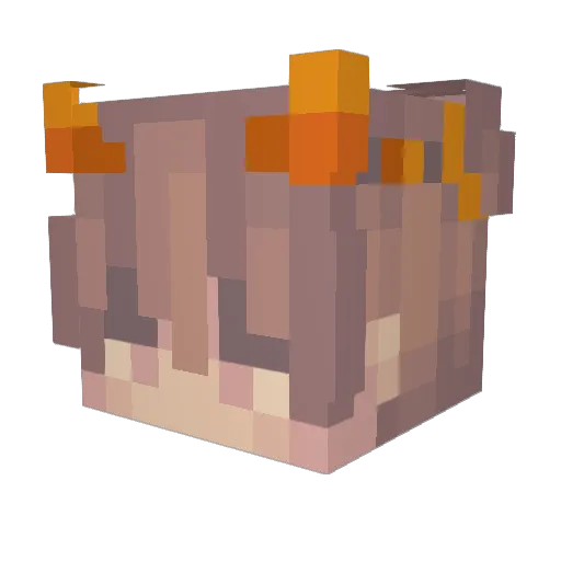 Fiores Minecraft avatar head, 3D render