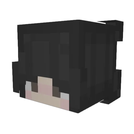 Fioya Minecraft avatar head, 3D render