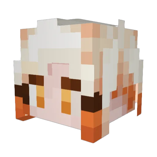FipSa Minecraft avatar head, 3D render