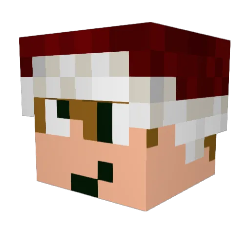 Fipo_7 Minecraft avatar head, 3D render