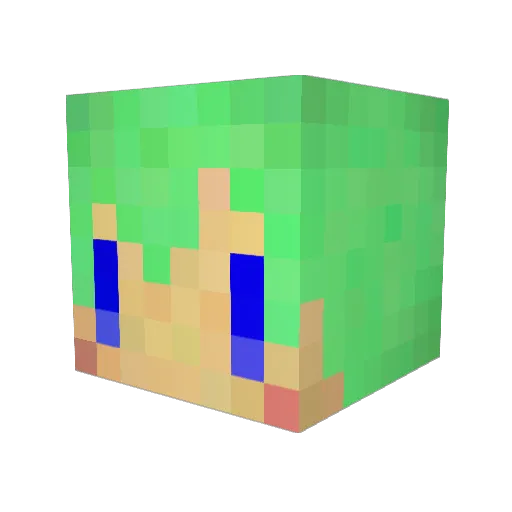 Fippul_1341 Minecraft avatar head, 3D render