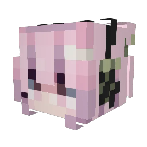 Fippy Minecraft avatar head, 3D render