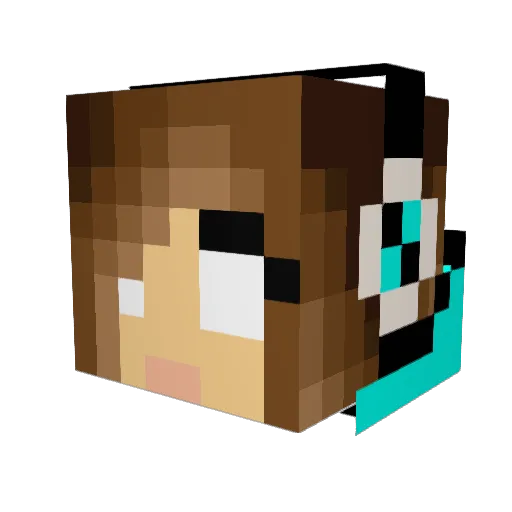 Fipro Minecraft avatar head, 3D render