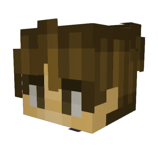 Fiqshy Minecraft avatar head, 3D render