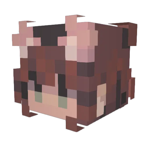 Firary Minecraft avatar head, 3D render