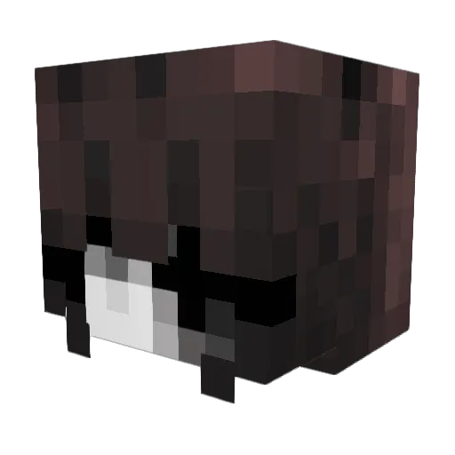Firds Minecraft avatar head, 3D render