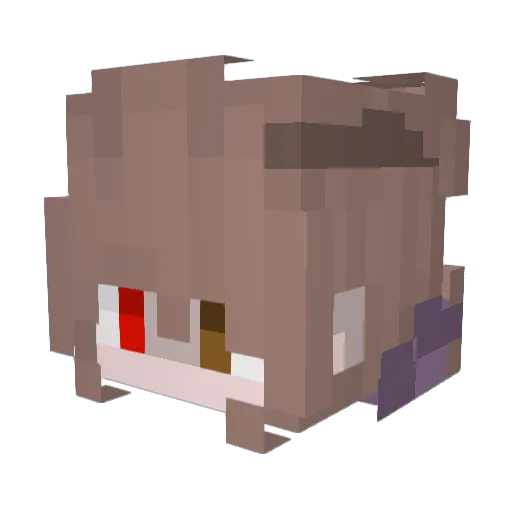 Fire242 Minecraft avatar head, 3D render