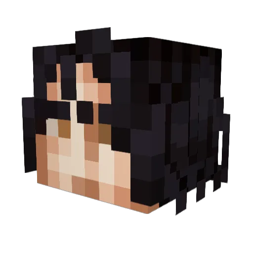 FireAGN Minecraft avatar head, 3D render
