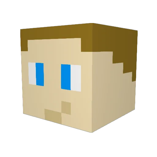 FireAndRice Minecraft avatar head, 3D render