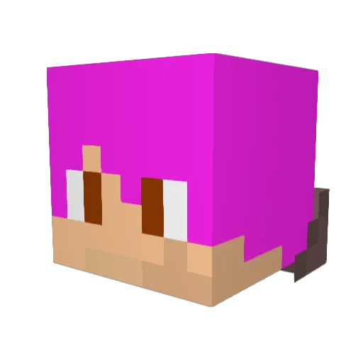 FireArcher13 Minecraft avatar head, 3D render