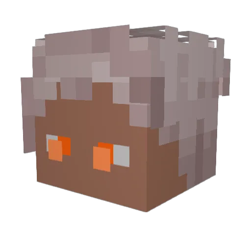 FireArmageddonX Minecraft avatar head, 3D render
