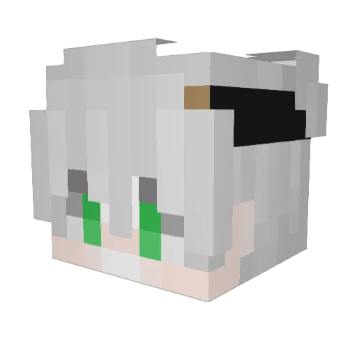 FireAsp3ct Minecraft avatar head, 3D render