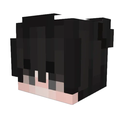 FireBlaze2380 Minecraft avatar head, 3D render