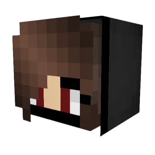 FireCraft27 Minecraft avatar head, 3D render