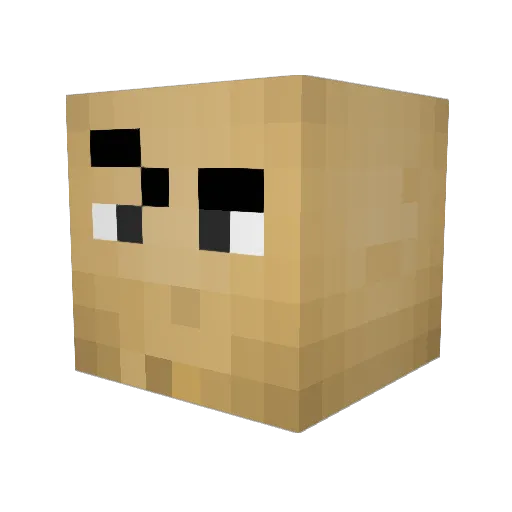 FireDoggo89 Minecraft avatar head, 3D render