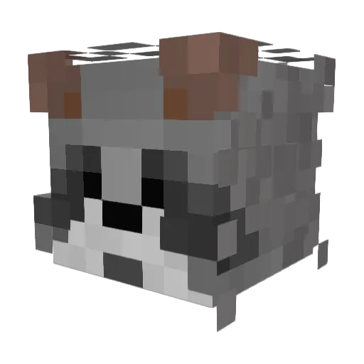 FireDragonNinja4 Minecraft avatar head, 3D render