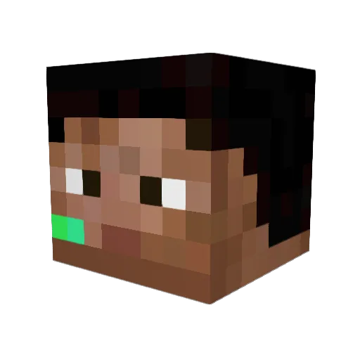 FireEagleLp560 Minecraft avatar head, 3D render
