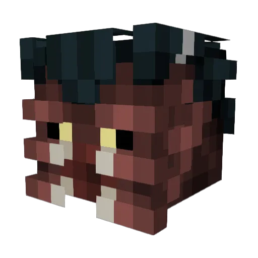 FireFerret72 Minecraft avatar head, 3D render
