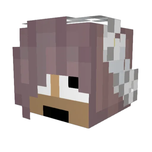 FireFlame54 Minecraft avatar head, 3D render