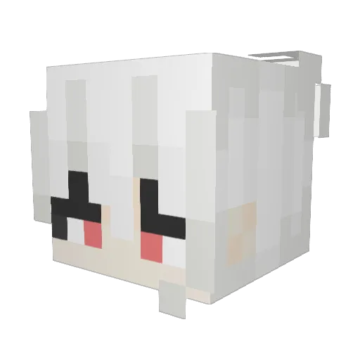 FireFlamingo5 Minecraft avatar head, 3D render