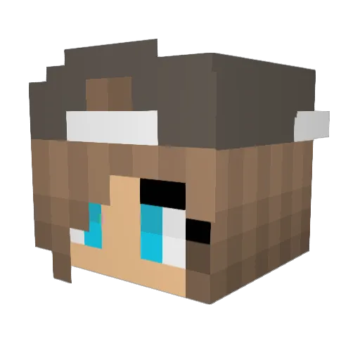 FireFliesVA Minecraft avatar head, 3D render