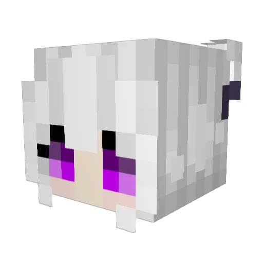 FireFlower1438 Minecraft avatar head, 3D render