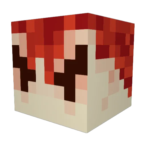 FireFlowerMan1 Minecraft avatar head, 3D render