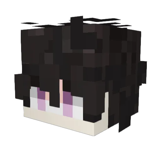 FireFox556 Minecraft avatar head, 3D render