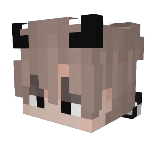 FireGail Minecraft avatar head, 3D render