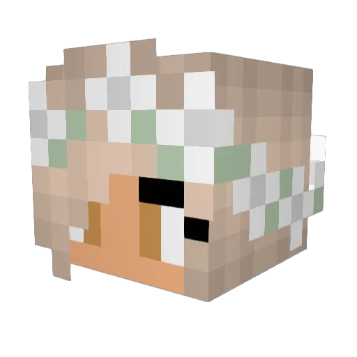FireGamerFox16 Minecraft avatar head, 3D render