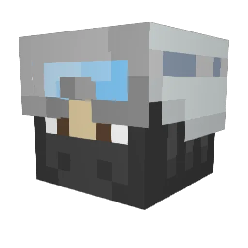 FireHawk9902 Minecraft avatar head, 3D render
