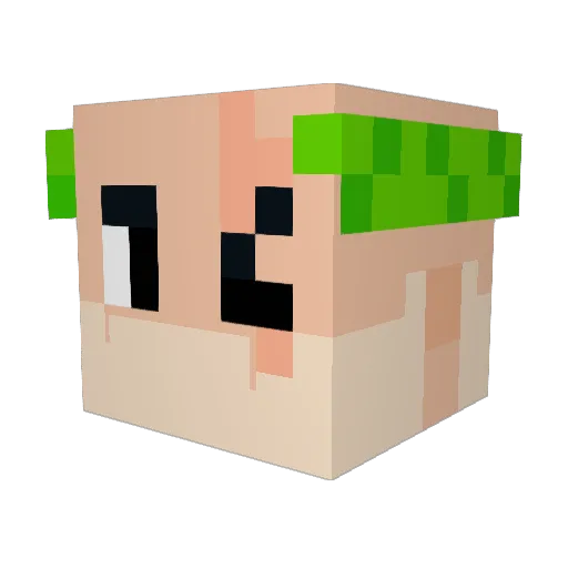 FireJ19 Minecraft avatar head, 3D render