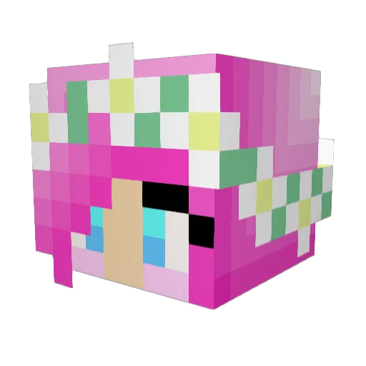 FireMinecraftNam Minecraft avatar head, 3D render