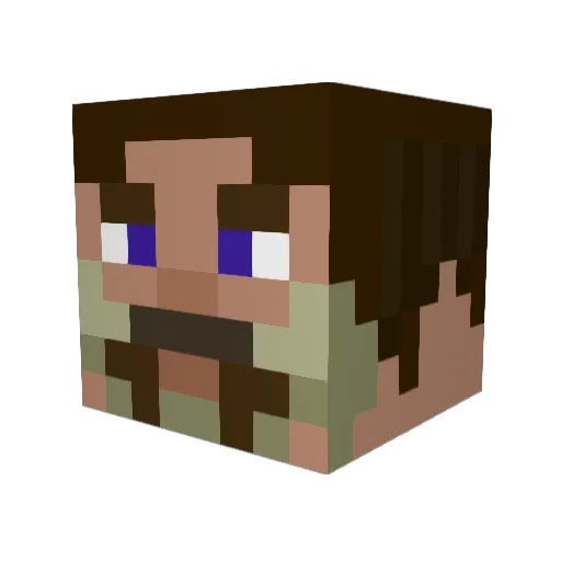 FireMonster11 Minecraft avatar head, 3D render