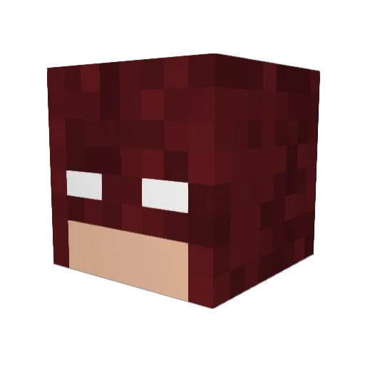 FireNinja60 Minecraft avatar head, 3D render