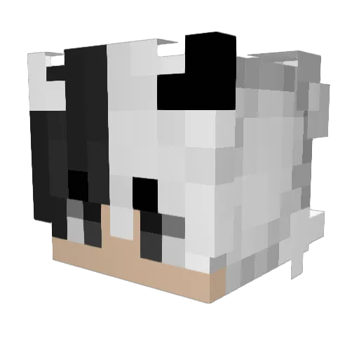 FireNoobsta Minecraft avatar head, 3D render